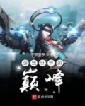 遊戲世界的巅峰