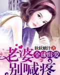 全球緝愛：老婆别喊疼