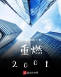 重燃2001