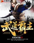 武道天帝（又名：武道霸主）