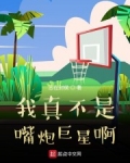 我真不是嘴炮巨星啊