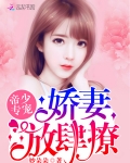 祁少老婆拆家了