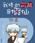 我修的可能是假仙