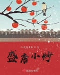 盛唐小炒