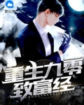 重生九零緻富經