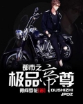 《都市之極品帝尊》
